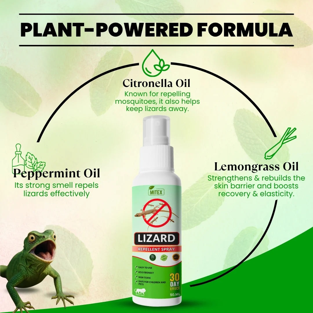 Lizard Repellent Spray Protect your home from Pest, mite & insects (Pack of 3)