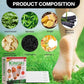 Premium Detox Foot Patches – Advanced Formula (10 Pack)