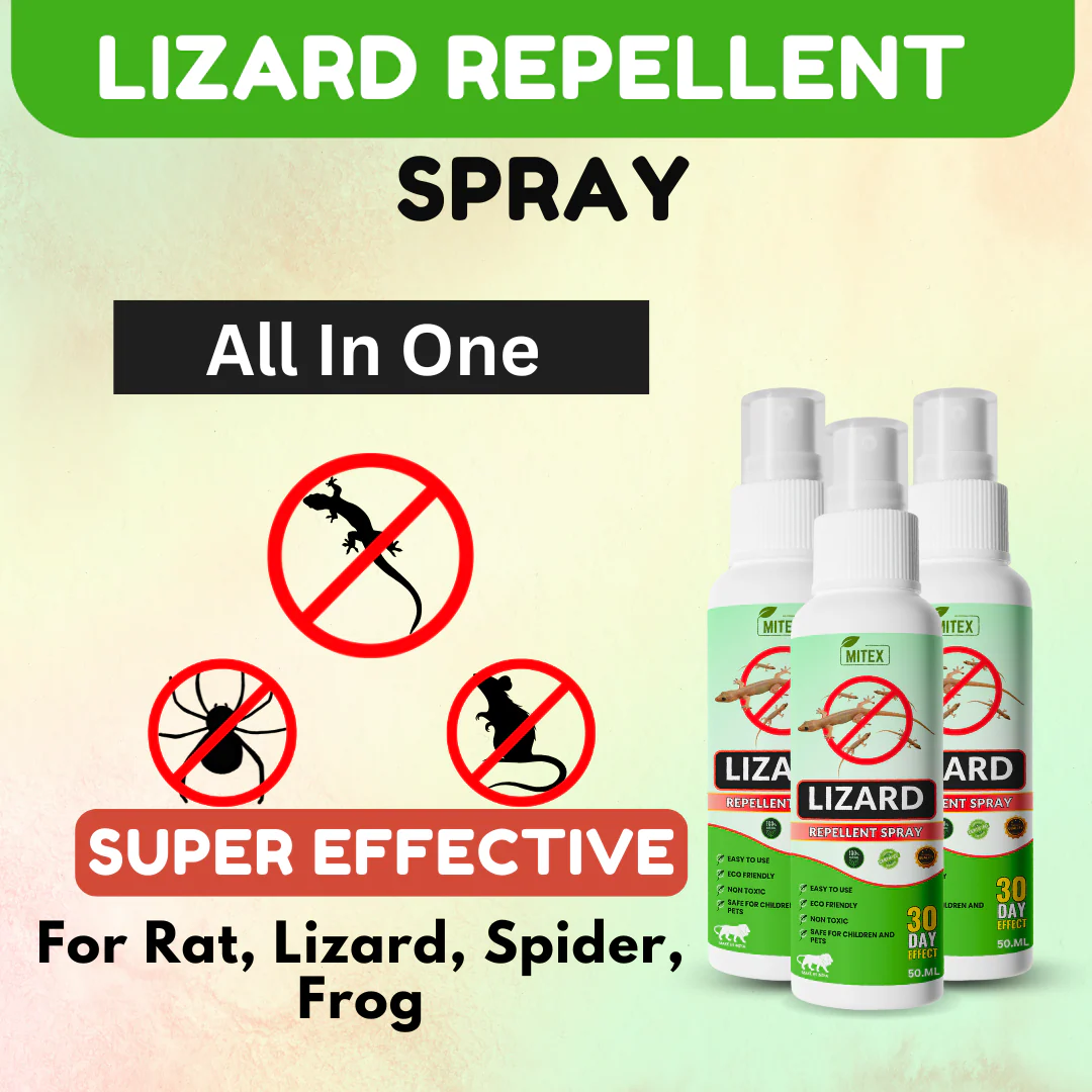 Lizard Repellent Spray Protect your home from Pest, mite & insects (Pack of 3)